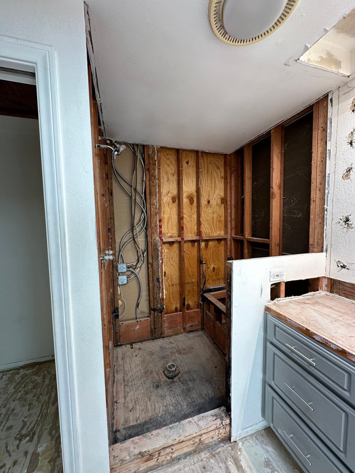 Anaheim Bathroom Remodel before, photo 3